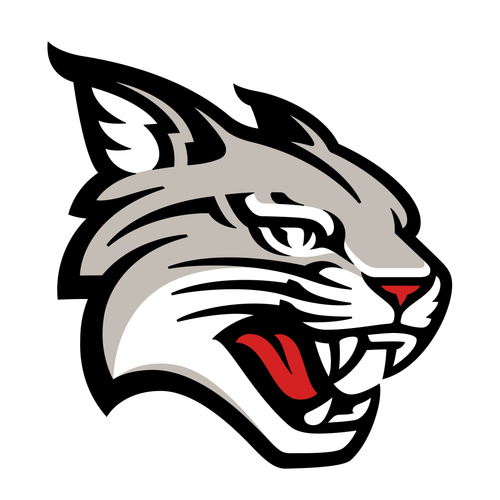 Davidson logo