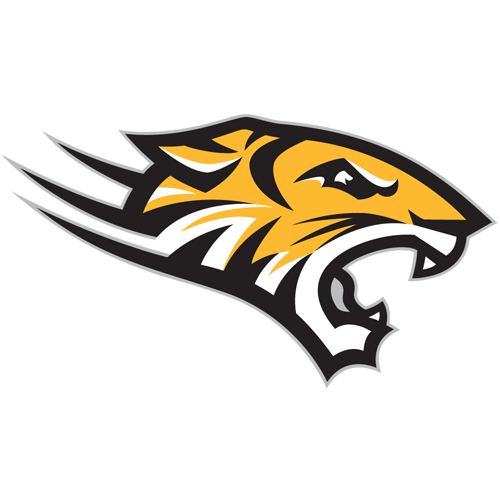 Towson logo