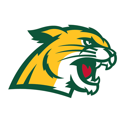 Northern Michigan logo
