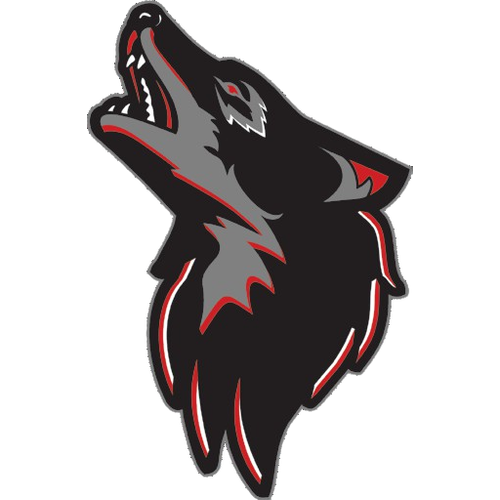 Sandusky High School logo