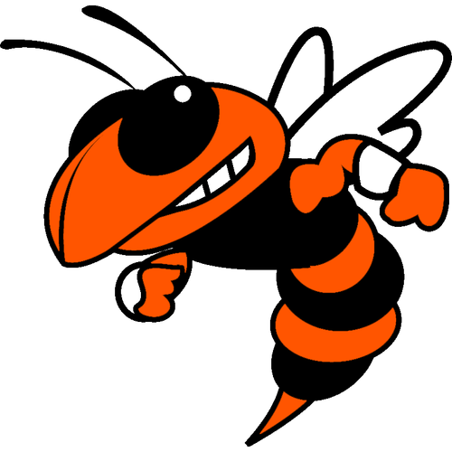 Mount Vernon High School logo