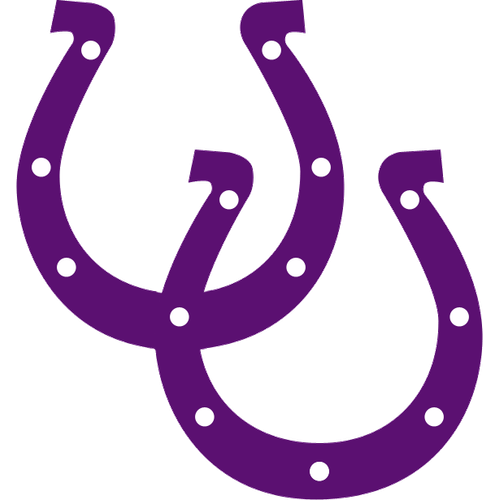 Martins Ferry High School logo