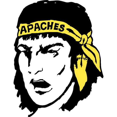 Fairview High School logo