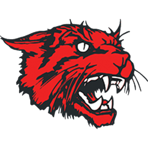 New London High School logo