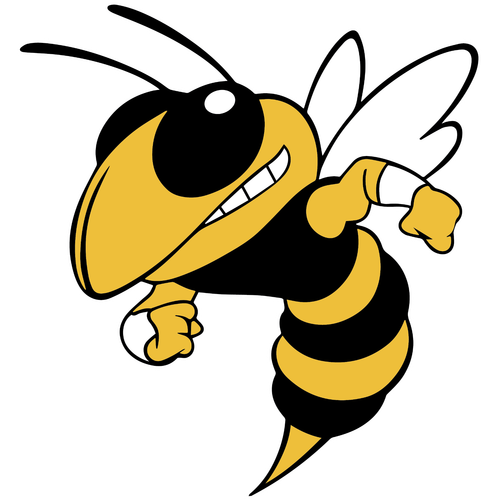 Taylor High School logo
