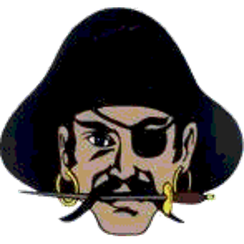 Decatur High School logo