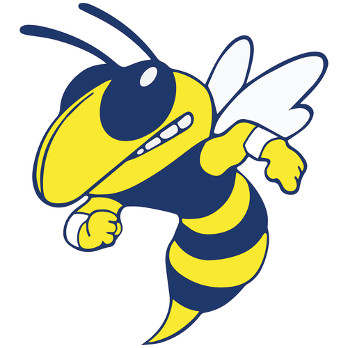 Mitchell High School logo