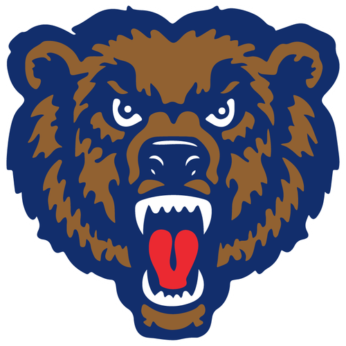Danville High School logo