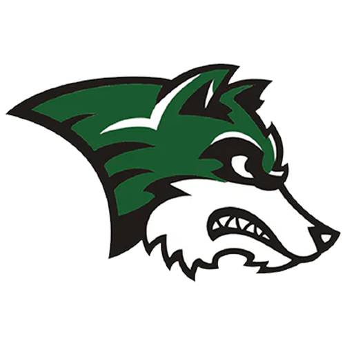 Ikm-Manning High School logo