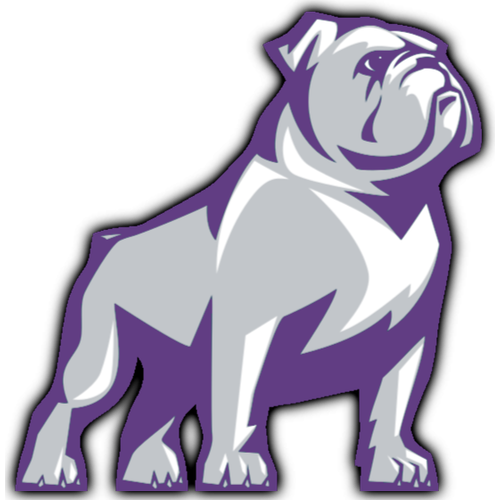 Boyer Valley High School logo