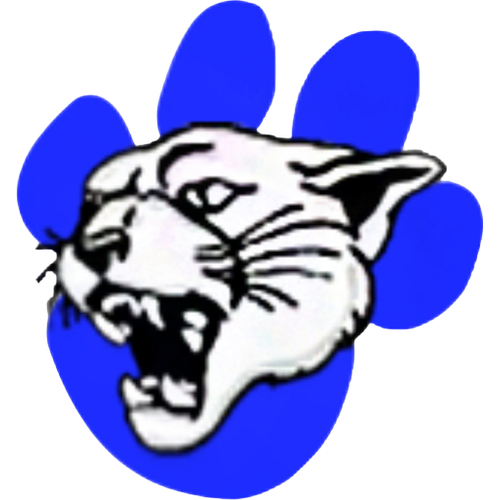 Cam High School logo