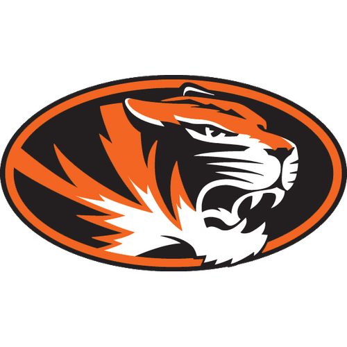 Springfield Local High School logo