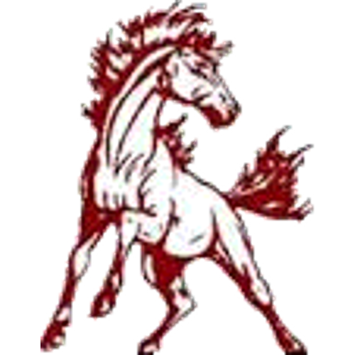 Shenandoah High School logo