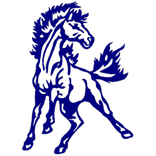 Newell-Fonda High School logo