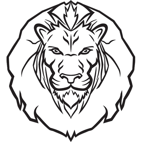 Newaygo High School logo