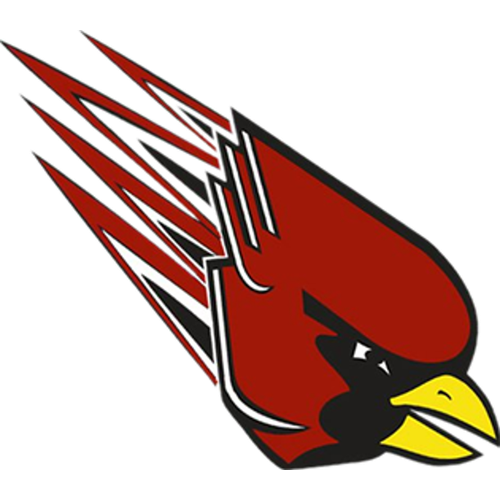 Bloomingdale High School logo