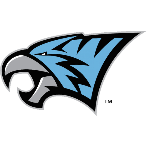 North Fayette Valley High School logo
