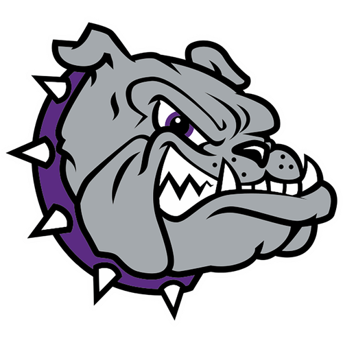 Brownsburg High School logo