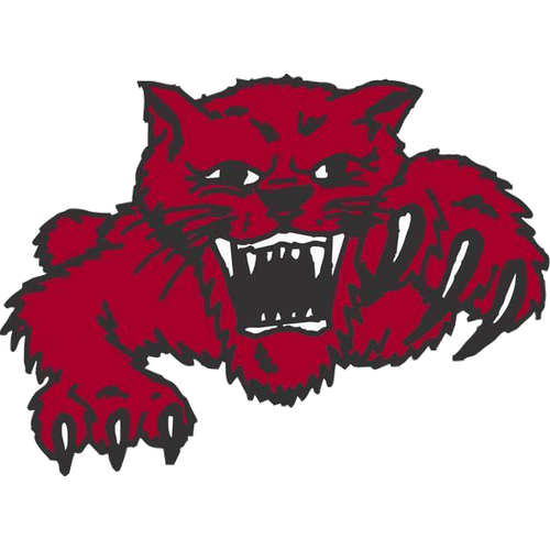 Struthers High School logo
