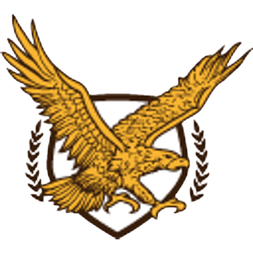 Ferndale High School logo