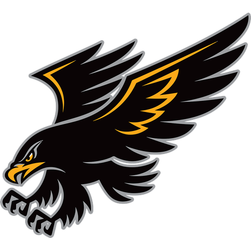 Springs Valley High School logo