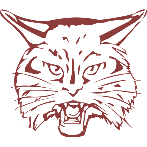 Brandywine High School logo