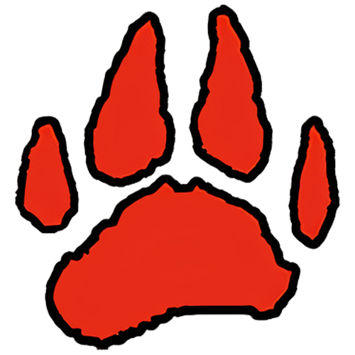 Laingsburg High School logo