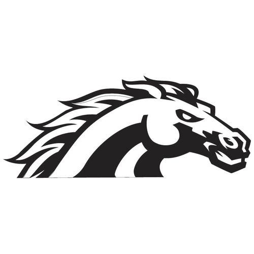 Dansville High School logo