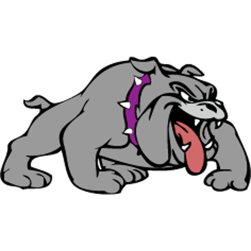 Lake Mills High School logo