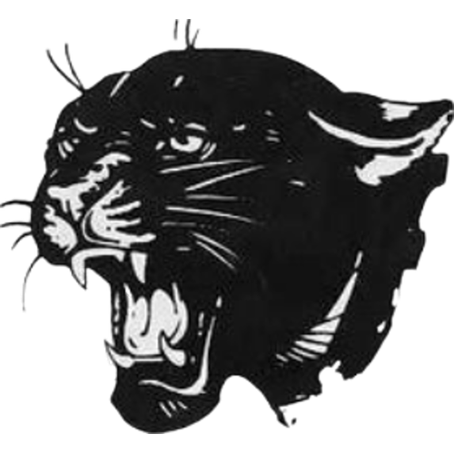 Delton-Kellogg High School logo