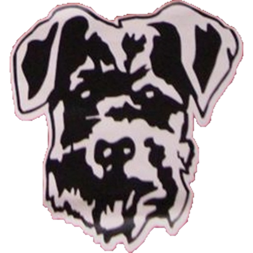 Litchfield High School logo