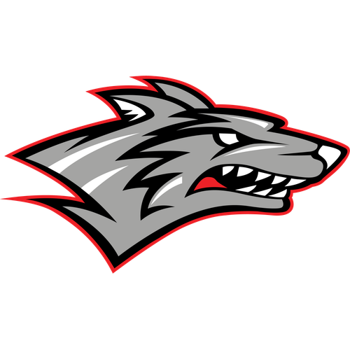 Reed City High School logo