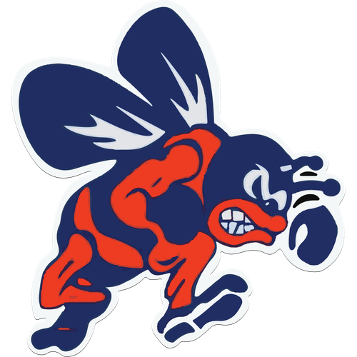 Bridgman High School logo