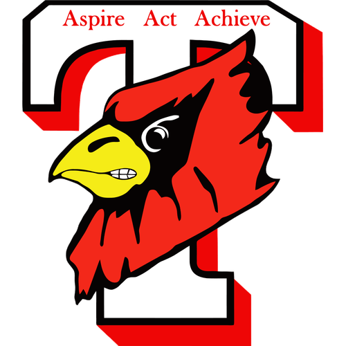 Triad High School logo