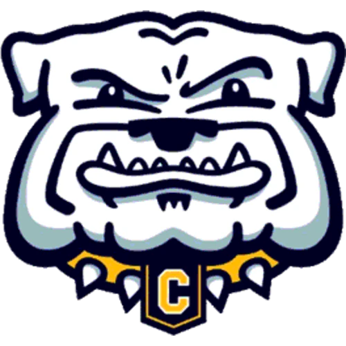 Chelsea High School logo