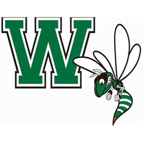 Williamston High School logo