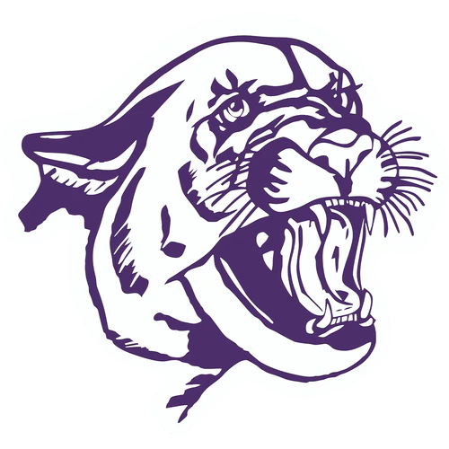 Bloomington South logo