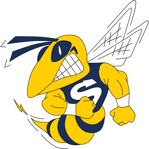 Saline logo