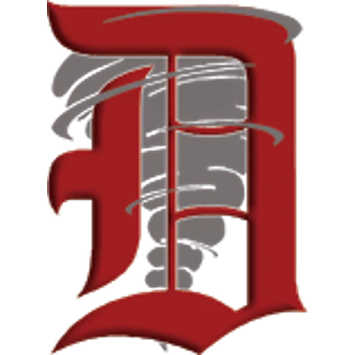 Dover High School logo