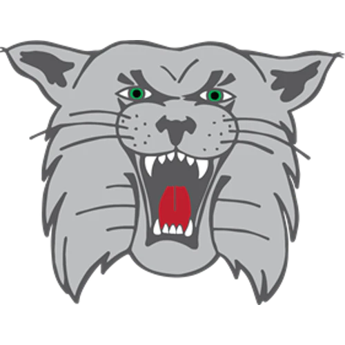 Canton South High School logo