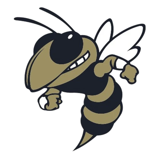 Thomas County Central High School logo